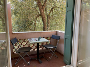Appartement T2 rénové, climatisé, Wi-Fi, à 300m de la plage et proche commerces - Argelès-sur-Mer - FR-1-309-446
